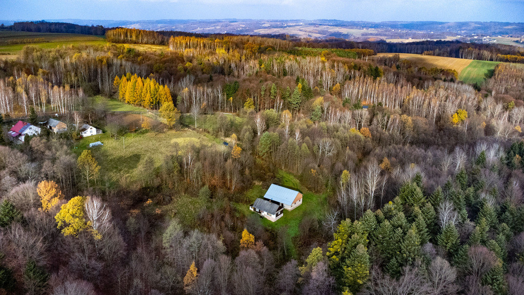 Dom Sprzedaż Borówki 10