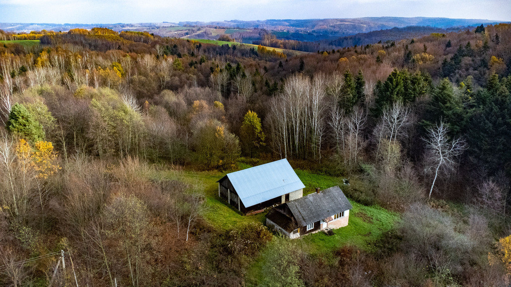 Dom Sprzedaż Borówki 2