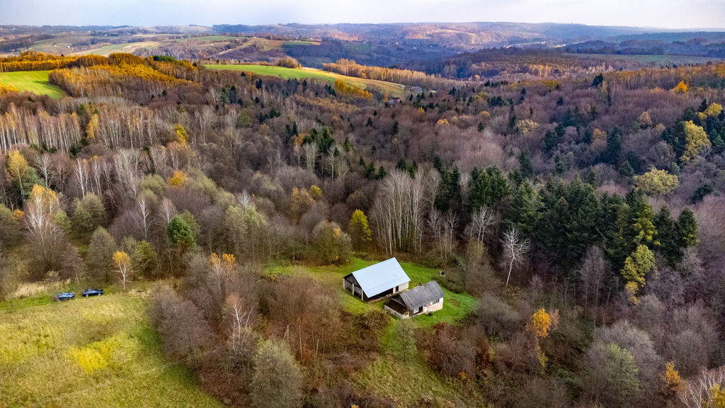 Dom Sprzedaż Borówki 16