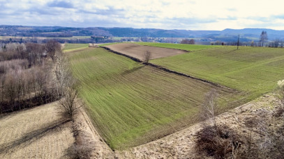 Działka Sprzedaż Brzeziny