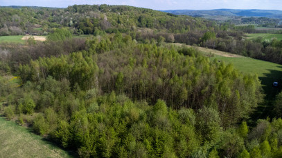 Działka Sprzedaż Laskówka