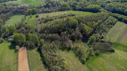 Działka Sprzedaż Laskówka