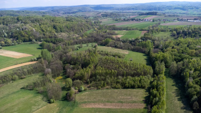 Działka Sprzedaż Laskówka