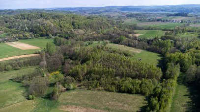 Działka Sprzedaż Laskówka
