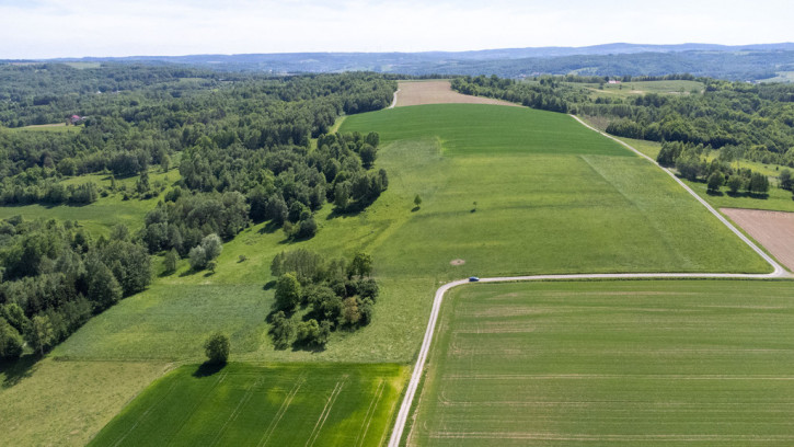 Działka Sprzedaż Nowy Borek 5