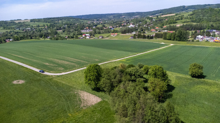 Działka Sprzedaż Nowy Borek 8