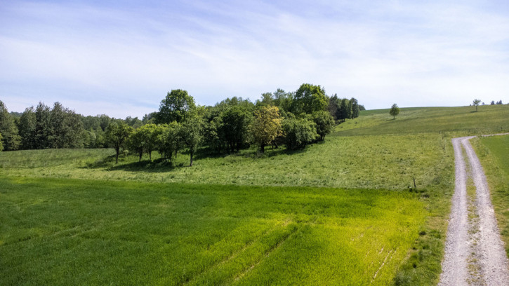 Działka Sprzedaż Nowy Borek 9