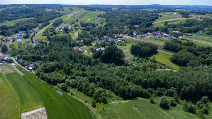Działka Sprzedaż Harta 4