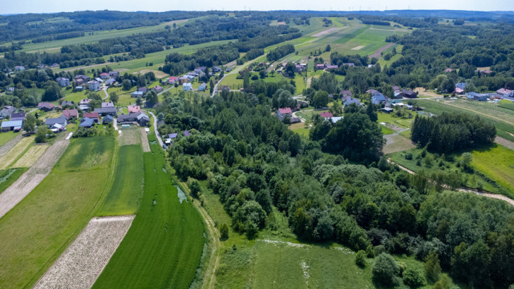 Działka Sprzedaż Harta 5