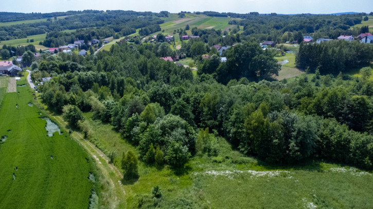 Działka Sprzedaż Harta 6