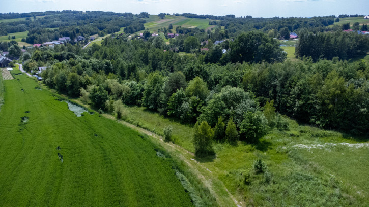 Działka Sprzedaż Harta 7