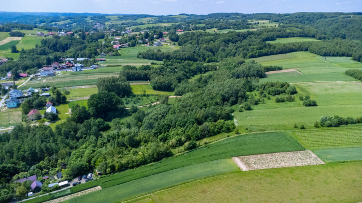 Działka Sprzedaż Harta 9