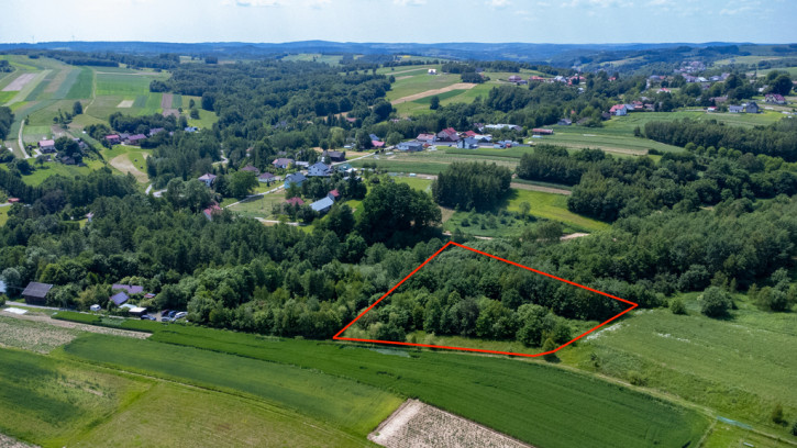 Działka Sprzedaż Harta 1