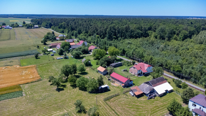 Dom Sprzedaż Cieszanów 11