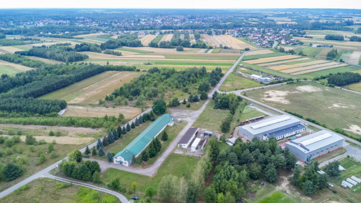 Magazyn Sprzedaż Nowa Sarzyna 13