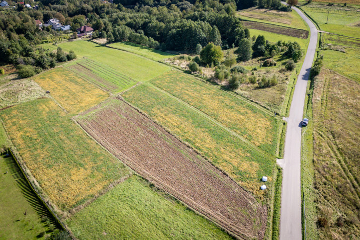 Działka Sprzedaż Dynów ks. Józefa Ożoga 11