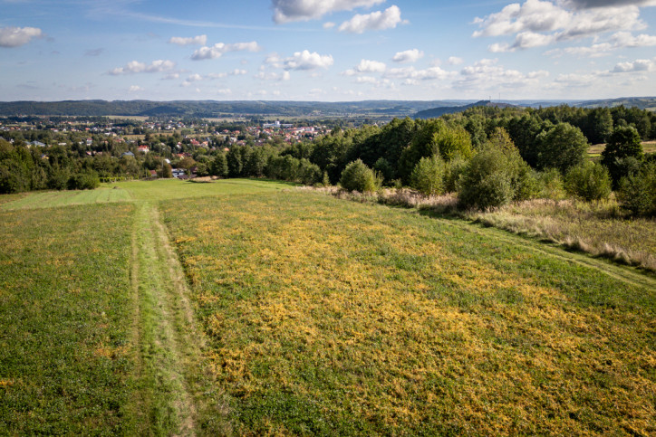 Działka Sprzedaż Dynów ks. Józefa Ożoga 5