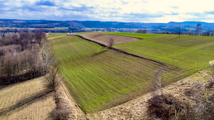 Działka Sprzedaż Brzeziny 5