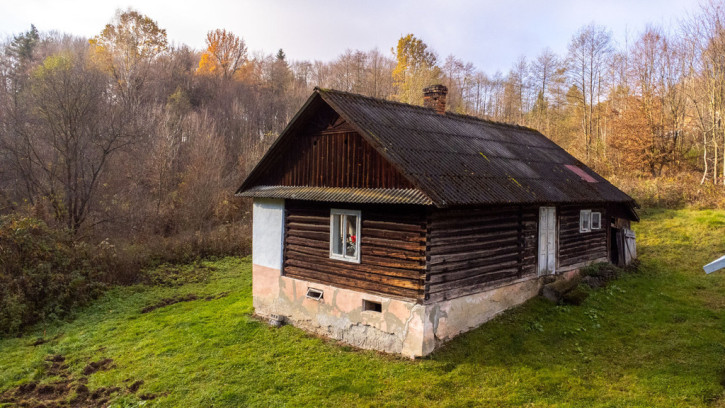 Dom Sprzedaż Borówki 7