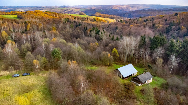 Dom Sprzedaż Borówki 10