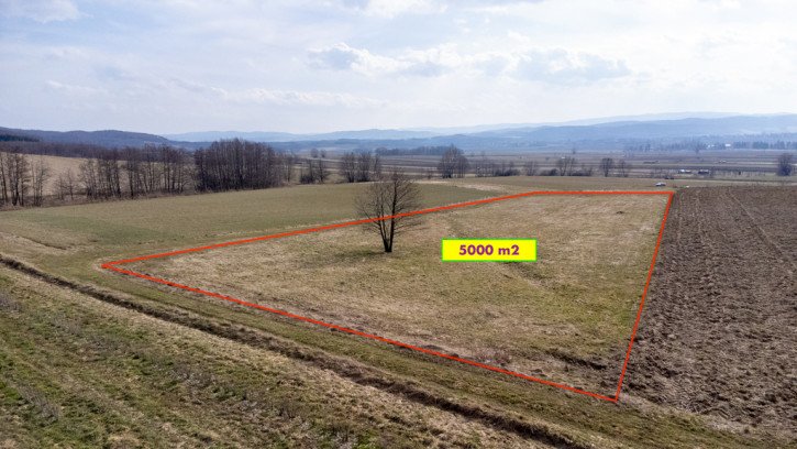 Działka Sprzedaż Bażanówka 2