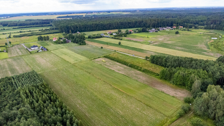 Działka Sprzedaż Adamówka 8