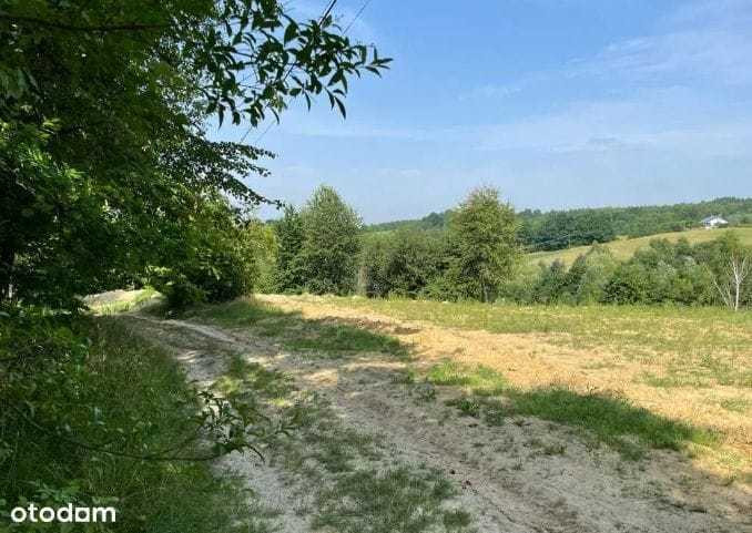 Działka Sprzedaż Chmielnik 10