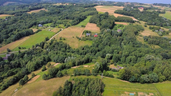 Działka Sprzedaż Chmielnik 20
