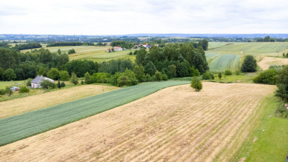 Działka Sprzedaż Niechobrz