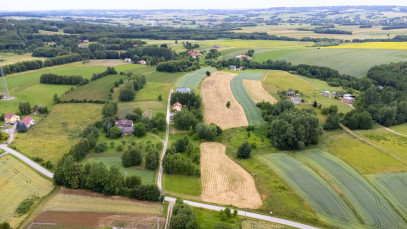 Działka Sprzedaż Niechobrz