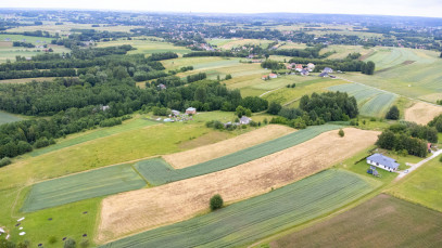 Działka Sprzedaż Niechobrz